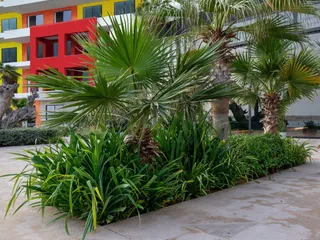 The Heart of Europe в The World Islands