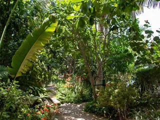 The Heart of Europe в The World Islands