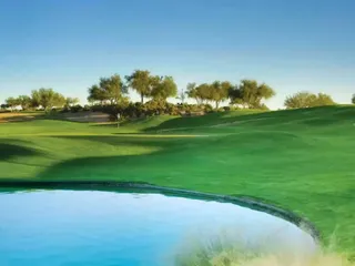 Aquilegia в DAMAC Hills