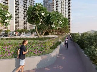 Solis в Motor City