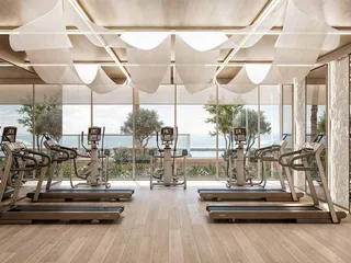 Safa Gate в Safa Park