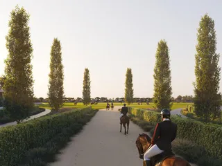 Chevalia Fields в Dubai