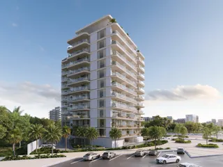 Cove Edition 5 в Arjan